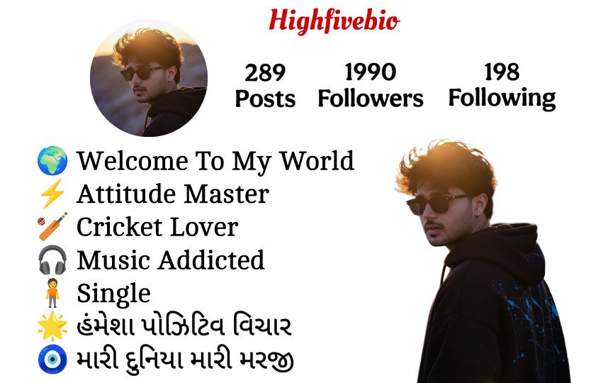 Instagram Bio In Gujarati
