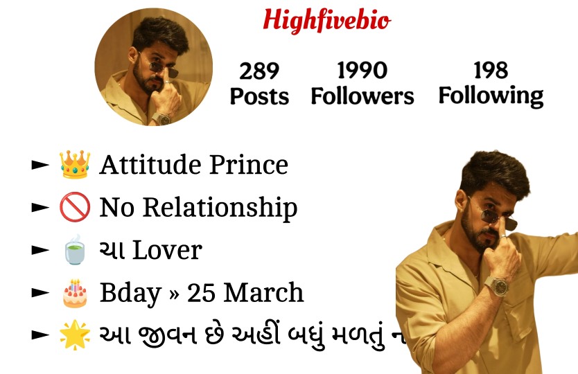 Instagram Bio In Gujarati